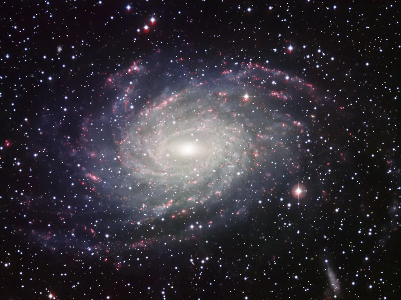 Scopri di più sull'articolo LE STELLE SONO COME PENSIERI VIVONO NEL COSMO E ILLUMINANO I NOSTRI PASSI
