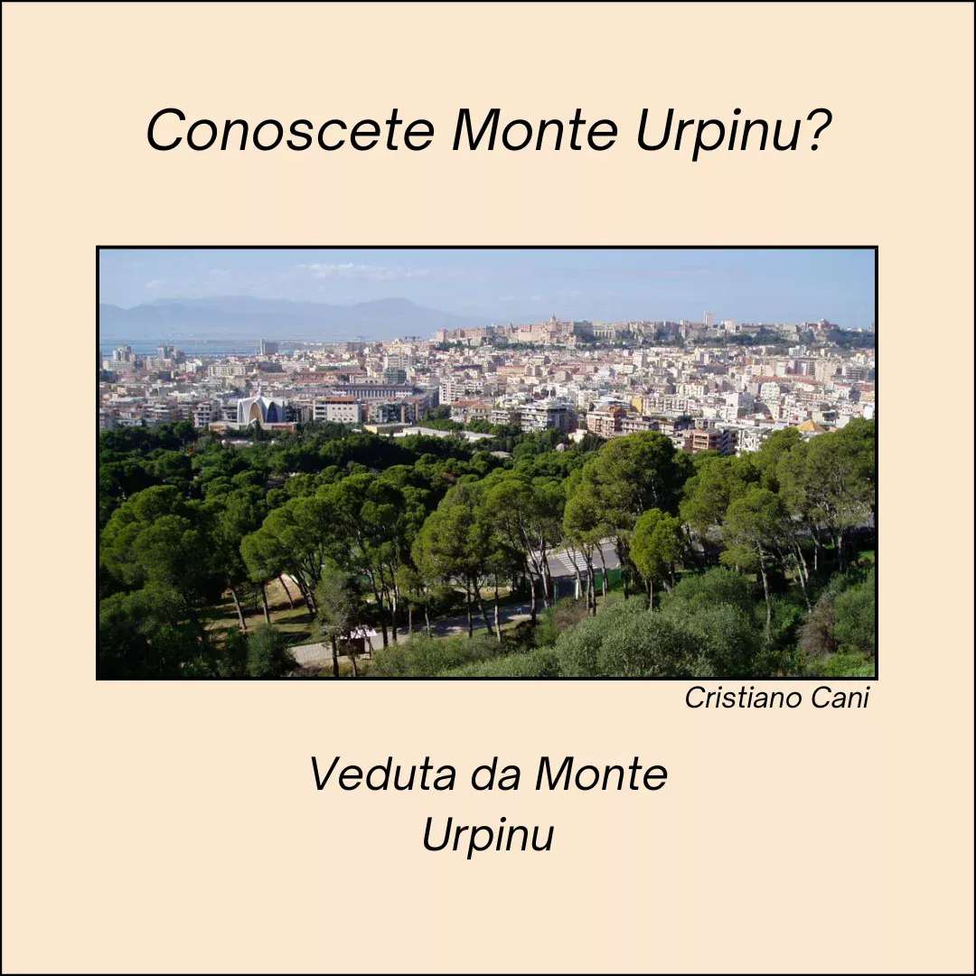 Scopri di più sull'articolo Conoscete Monte Urpinu?