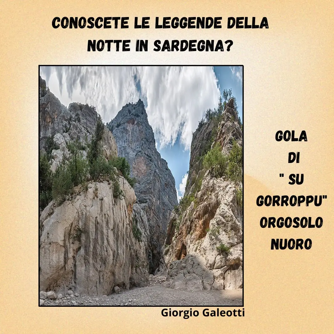 Scopri di più sull'articolo Leggende della notte