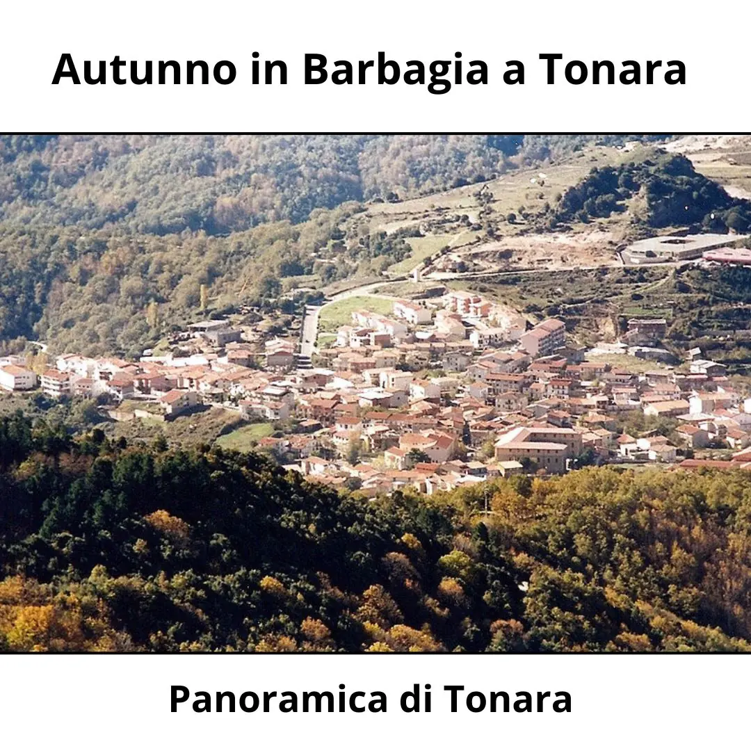 Scopri di più sull'articolo Autunno in Barbagia a Tonara